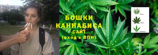 стаф Фёдоровский