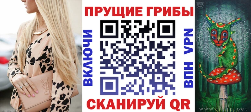 Купить где  Поворино  Псилоцибиновые грибы Magic Shrooms 